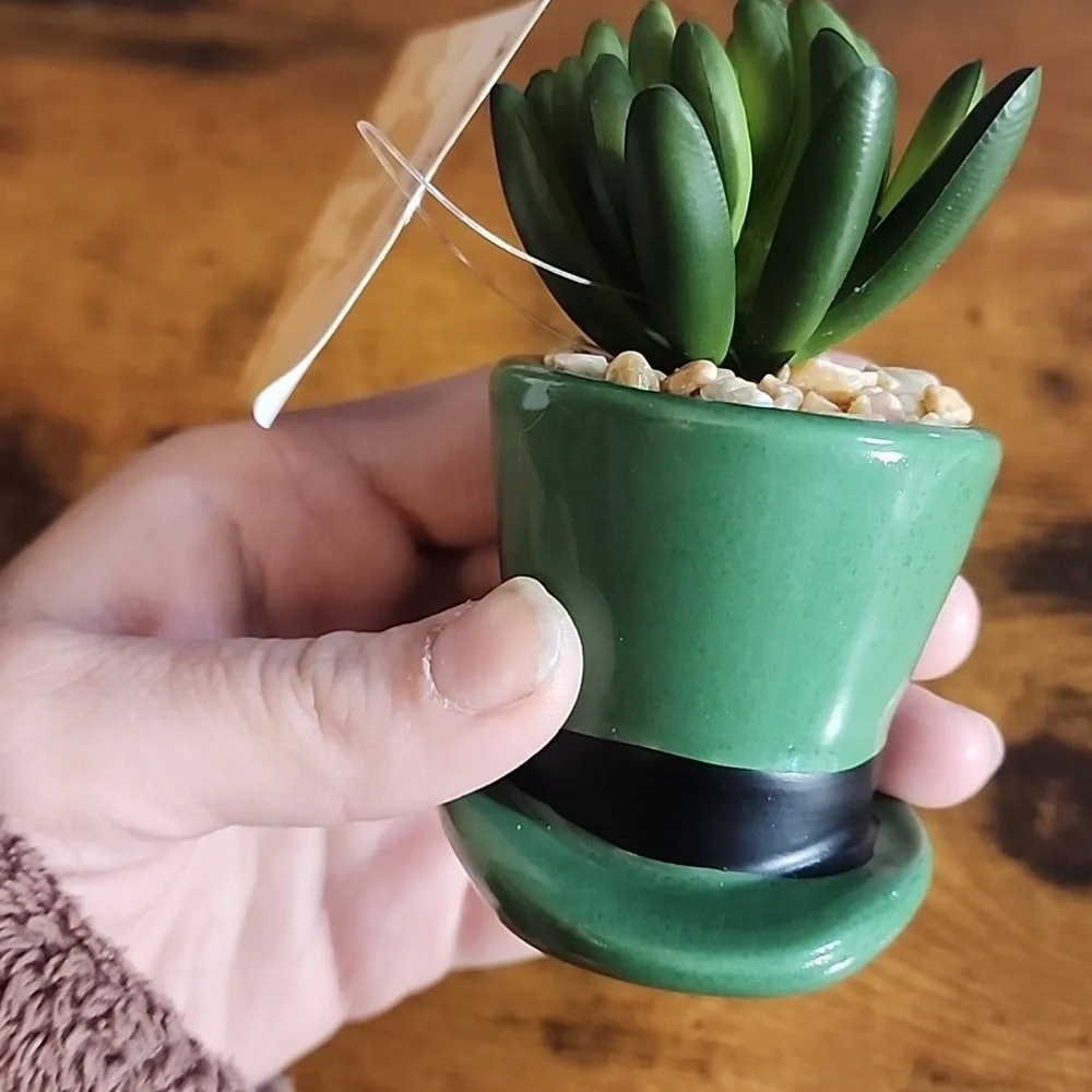 Green Leprechaun Hat Potted Plant -